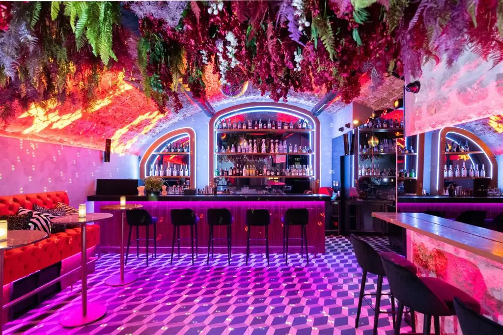 Interior of MILK Dubrovnik gay bar with neon lights and floral ceiling